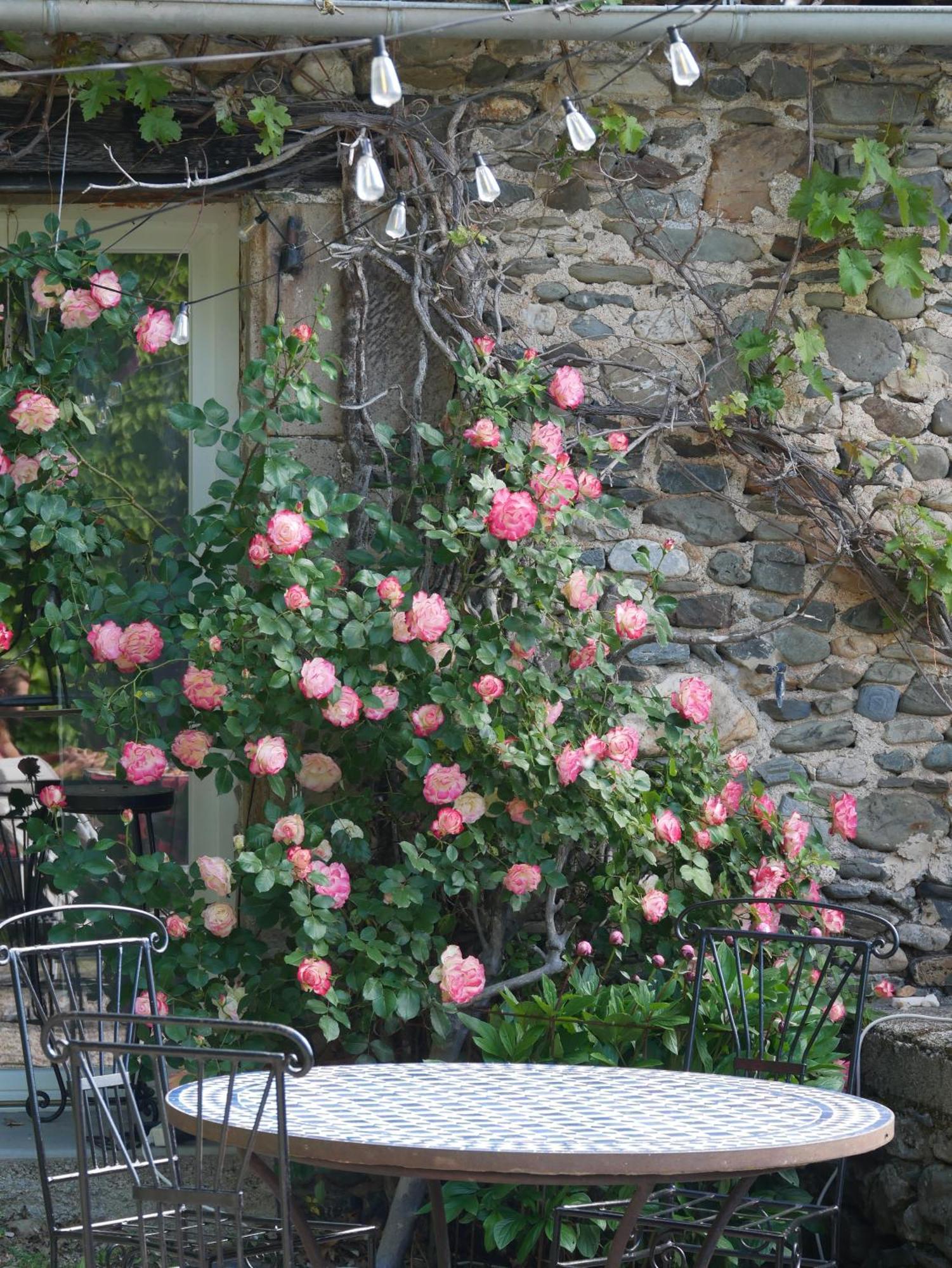 Bed and Breakfast Les Jardins De Lumiere Brusque Exterior foto