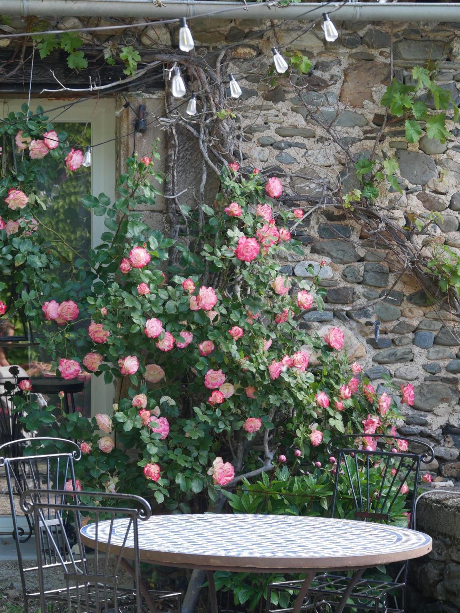 Bed and Breakfast Les Jardins De Lumiere Brusque Exterior foto